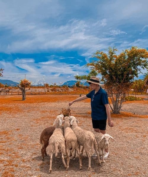 Đi du lịch Nha Trang bao nhiêu ngày là đủ