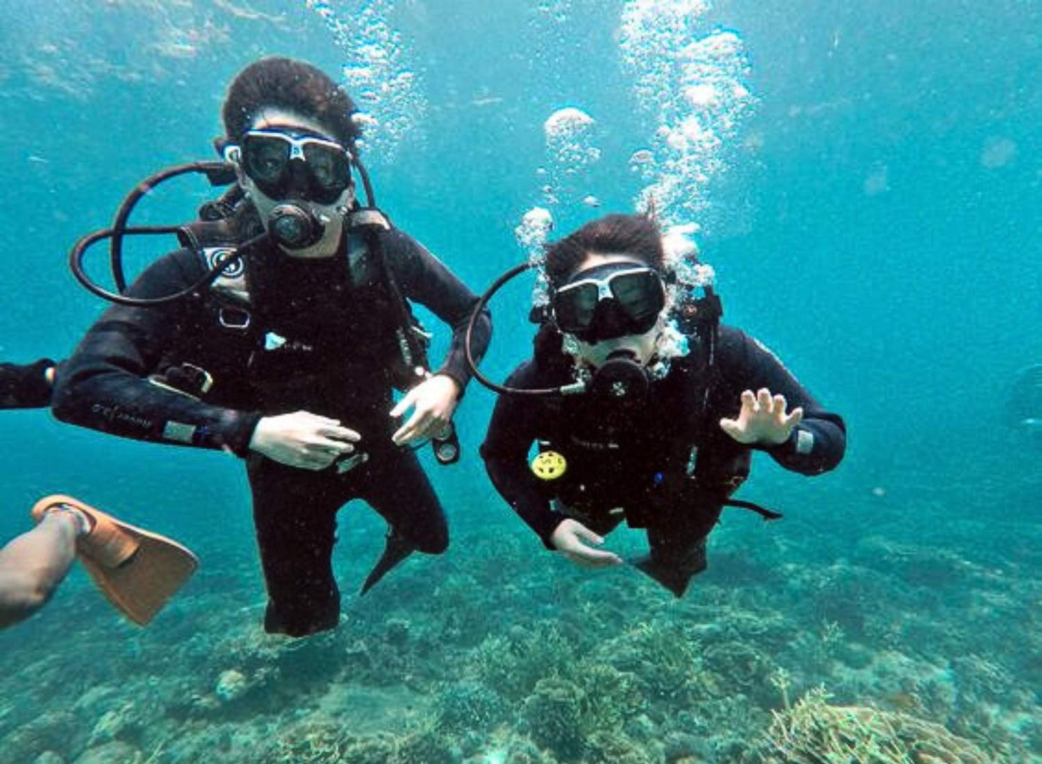 tour 1 đảo hòn tằm lặn bình